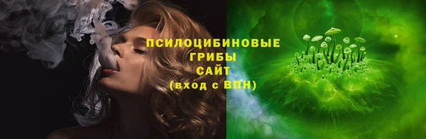 крисы Белокуриха