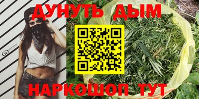 наркотики Гатчина