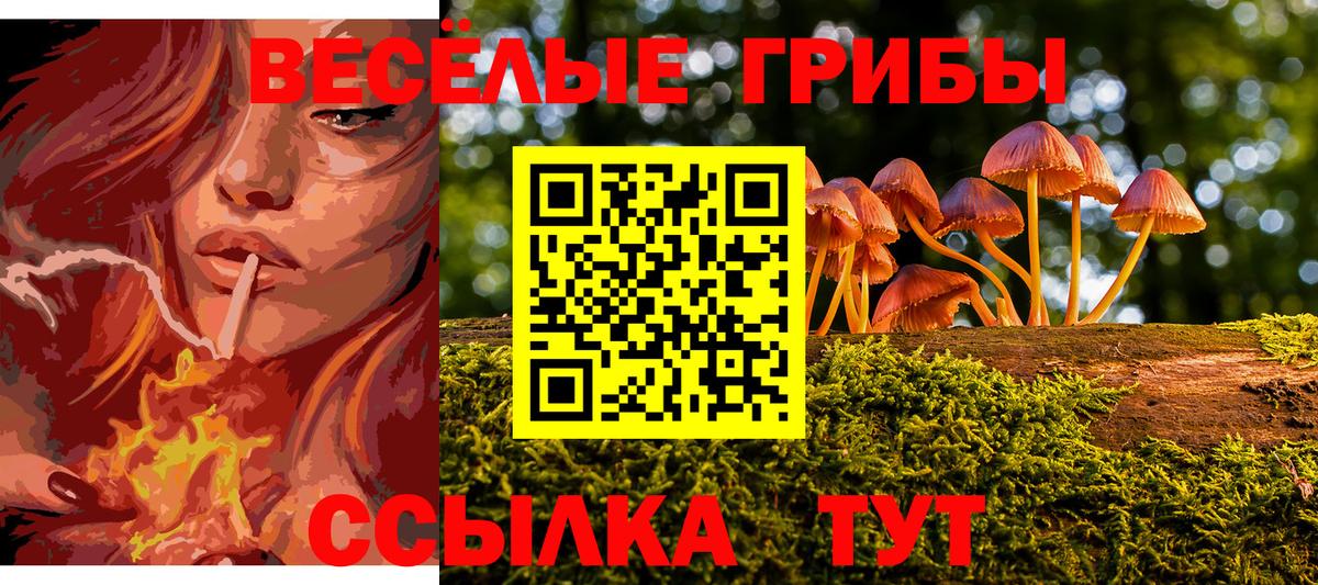 Галлюциногенные грибы Psilocybe  Вход с VPN  закладки  Краснокаменск  Псилоцибиновые грибы Magic Shrooms 